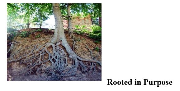 Rooted in purpose
